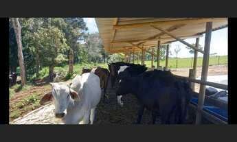 Imagem 2: Fazenda de 34 ha em Passa Tempo MG
