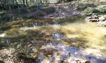 Imagem 7: VENDO ÁREA DE 10,6 HECTARES - RITÁPOLIS (MG