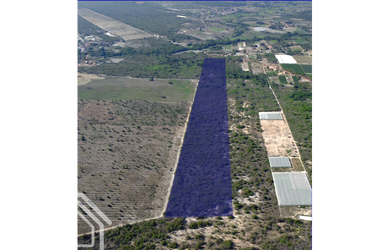 Imagem 4: PROPRIEDADE DE 20 HECTARES EM SÃO BENEDITO - SÍTIO CAMOCIM NO INHUÇU