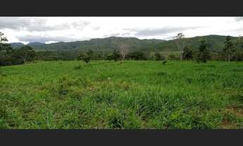 Imagem 4: Chácara 9 alqueiros - Mimoso Goiás 300 Mil