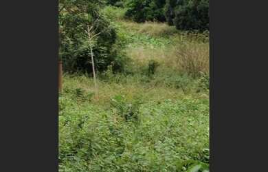 Imagem 12: Excelente fazenda em Lençóis