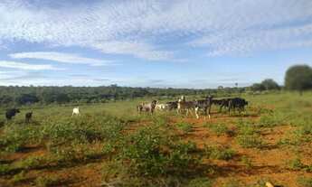 Imagem: Fazenda de 60 há em Felixlândia MG