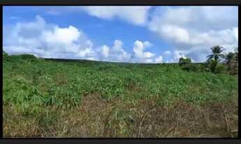 Imagem 4: Chácara para Venda, Alcobaça / BA