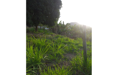 Imagem 3: Vendo Terreno no Morro da Piscina em Cordeiro/RJ