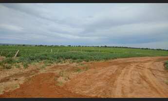 Imagem 6: Fazenda com 303 alq, dupla aptidao