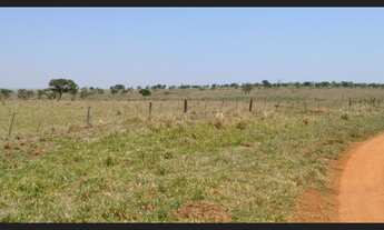Imagem: Fazenda com 303 alq, dupla aptidao