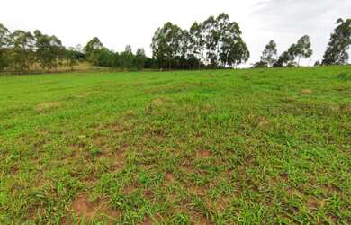 Imagem 5: Fazendinha de 11 há em São Tiago