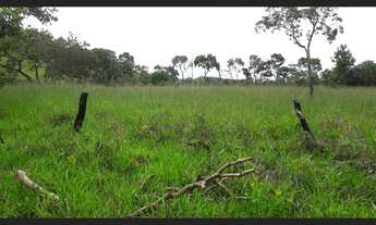 Imagem 2: 210 Alqs Ótima Água Terra e Logística Palmeirópolis TO