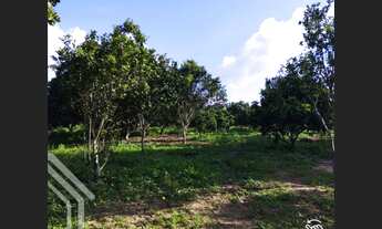 Imagem 2: EXCELENTE PROPRIEDADE RURAL COM PLANTAÇÕES E ÁRVORES FRUTÍFERAS