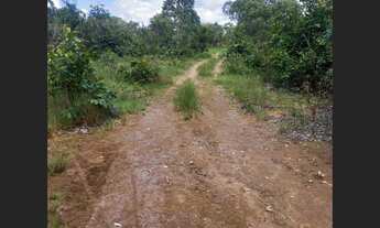 Imagem 4: 111 Alqs Dupla Aptidão Rica em Água e Madeira Porto Nacional TO