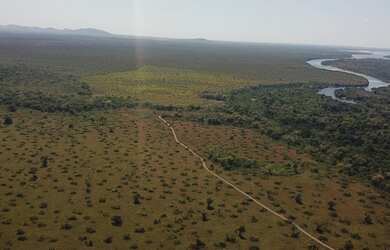 Imagem 11: 888 Alqs Arrendamento Disponivel Pra Soja Vale do Araguaia TO