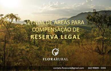 Imagem 3: Reserva Legal Extra Propriedade - Compra e Venda - Regularização Ambiental