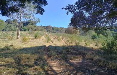 Imagem 14: Fazenda de 49 há em Itatiaiuçu