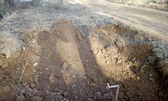 Imagem 7: Lote 1000 m² Jardins Continente Grama/Coronel Pacheco