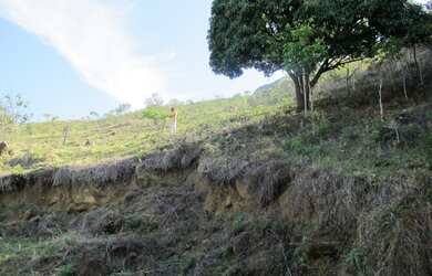 Imagem 4: Terreno de 30x100 mts no km12 da estrada Bananal/Bocaina