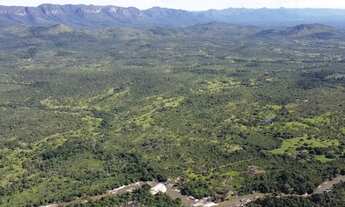 Imagem: 500 Alqs Pra Pecuária Ótima Logística