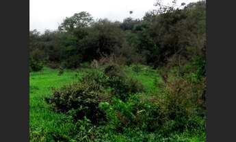 Imagem 2: Terreno de 5.900 m² para investimento em Capim Grosso