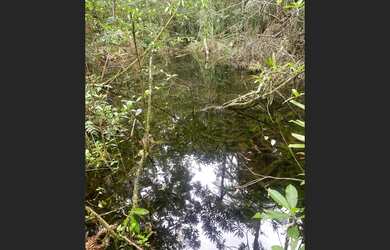 Imagem 2: SITIO EM BOM JARDIM DE MINAS