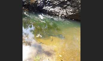 Imagem 4: 25 Alqs. Formada Planta Soja Região Brejinho TO