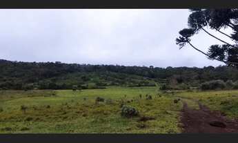 Imagem: Vendo um Terreno de 10 Hectares Próximo