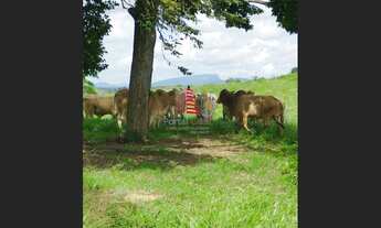 Imagem 6: Fazenda p/gado c/ 1.000 tarefas, em Nossa Senhora das Dores por R$ 10 mil reais a tarefa!