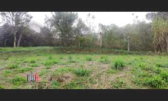 Imagem 4: Terreno bairro Vila nova rio negrinho