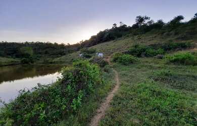 Imagem 3: Fazenda em Jaguaripe