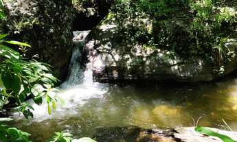 Imagem 5: Sítio com casa, cachoeira e nascente em Aiuruoca-MG
