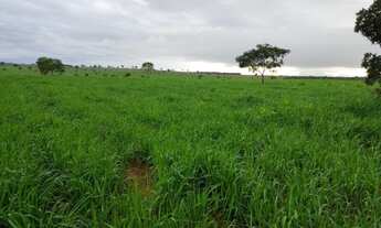 Imagem 2: Fazenda em Barra do Garças-MT