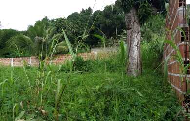 Imagem 6: Excelente terreno murado em Ilha de São João 1860m2