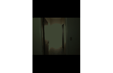 Imagem 3: SALA COMERCIAL CENTRO FLORIPA