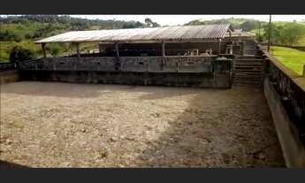 Imagem 4: Fazenda localizada na melhor região de gado da Bahia!