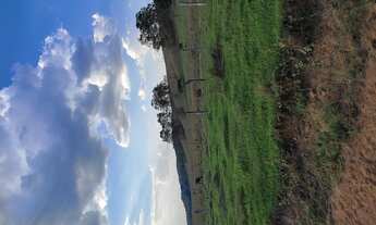 Imagem 4: Terreno de 69 há em oliveira MG