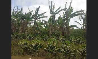 Imagem 5: Fazendinhas Paraguaçu do Catolé