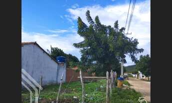 Imagem 3: EXCELENTE TERRENO A VENDA NA CIDADE DE CARNAUBAL NO BAIRRO CIDADE NOVA !