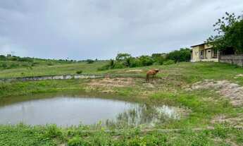Imagem 4: VENDO- Haras em Cruz das Almas-Ba