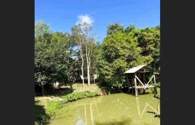 Imagem 4: Sitio em fundao Fazenda / sítio com 2 dormitórios