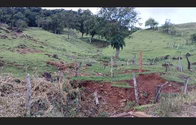 Imagem 7: Londrina chácara 2 alqueires a 5 Kilometros da cidade de jardim alegre no Paraná