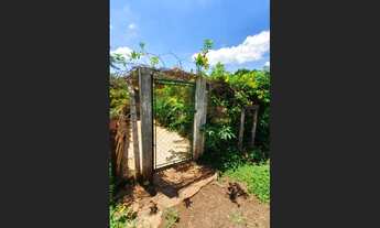 Imagem 5: Vendo 13,36 Alqueires na Região de Cornélio Procópio PR