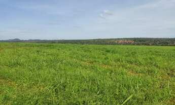 Imagem 7: Fazenda em Barra do Garças-MT