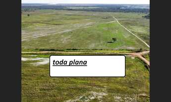 Imagem 4: 669 Alqs Plantando a 5 Anos Rios Plana Região Palmas TO