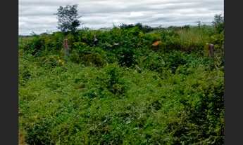 Imagem: Terreno de 6.600 m² em Senhor do Bonfim