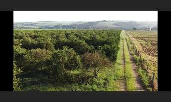 Imagem 6: Sitio proximo cidade com 11,6 has Artur Nogueira SP