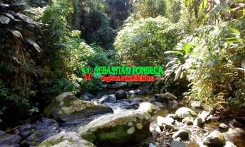 Imagem 2: Sítio de 02 alqueires em Caraguatatuba