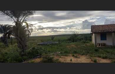 Imagem 5: Vende-se terreno com 67 hectares