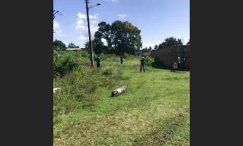 Imagem 7: Terrenos em Itaparica ponta de areia