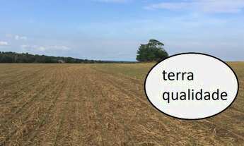 Imagem 4: 135 Alqs Com Soja Ótima Logística Região Barra do Ouro TO