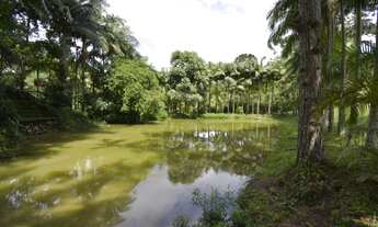 Imagem 3: Chácara à Venda em Juquitiba SP com aproximadamente 5.000 m2, casa e lago!