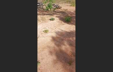 Imagem 2: 138 Alqs Plana Solo Vermelho Região Dianópolis TO