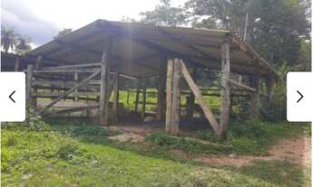 Imagem 4: Fazendinha de 27 hectares próximo A Belo horizonte